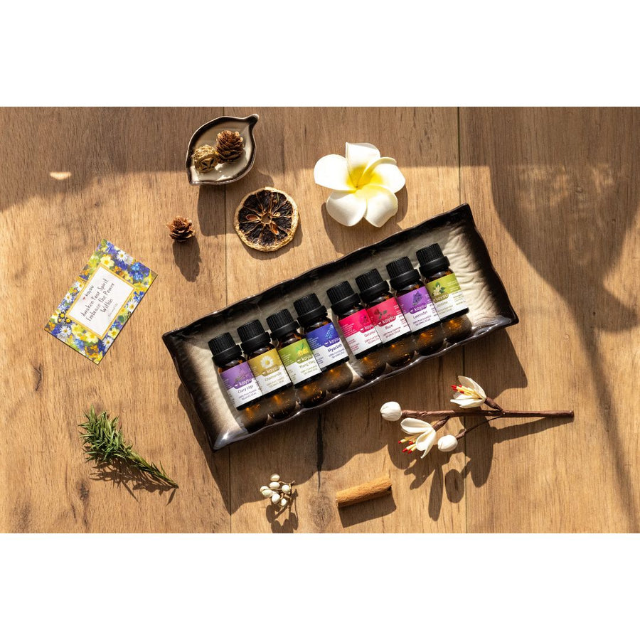 Elevate Your Driving Experience with Kaysu: Where Women Drive, Decorate, and Craft a Comfortable, Fragrant Car Haven!