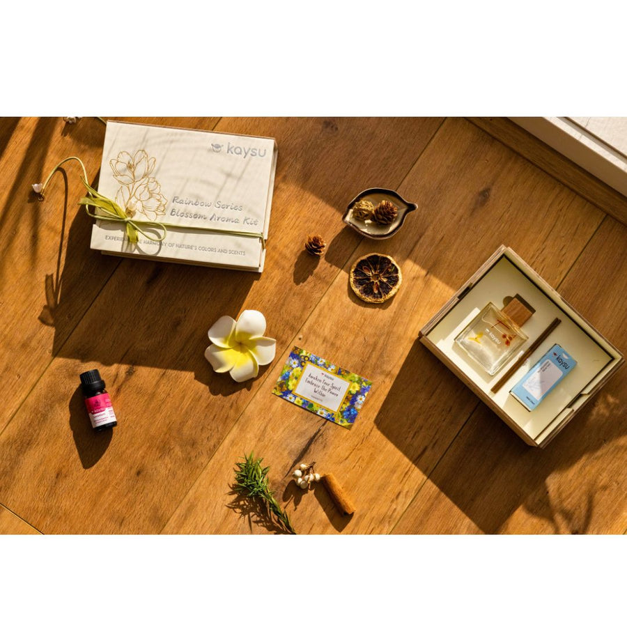 kaysu woman drive with ingenious phone mounts ensuring hands-free convenience and road safety