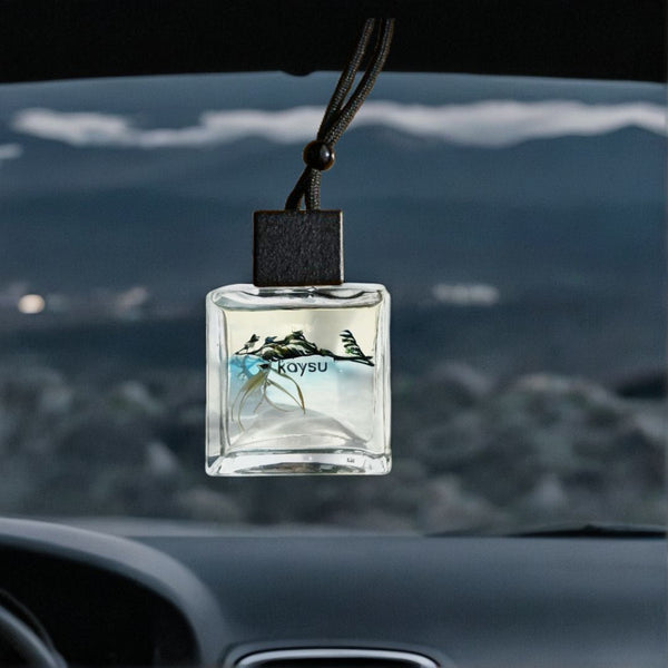 Clary Sage Car Diffuser kaysu