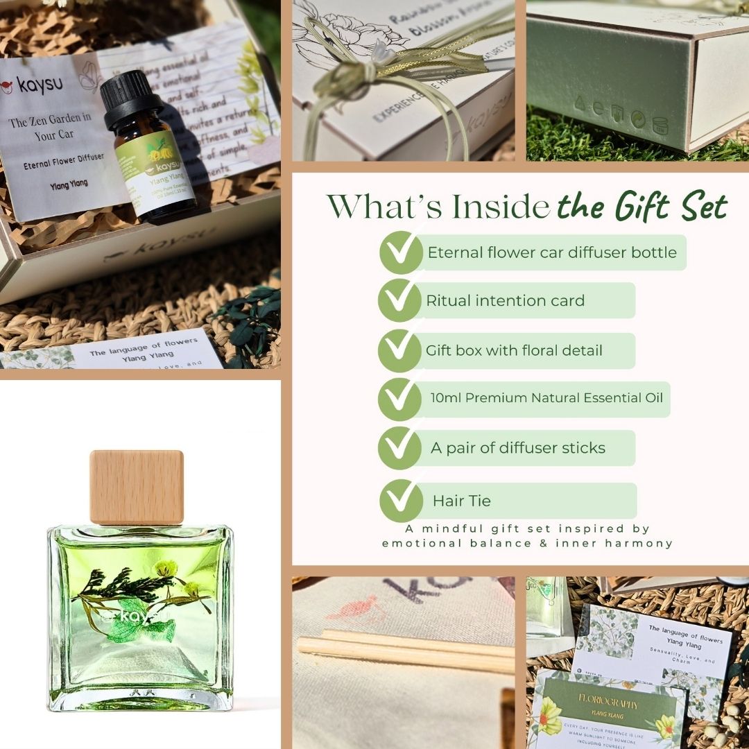 Green Energy Gift Set - Find Calm & Reconnect & Restore