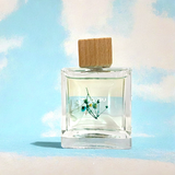 Hyacinth Car Diffuser – Clarity & Calm by Kaysu