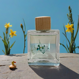 Hyacinth Car Diffuser – Clarity & Calm by Kaysu